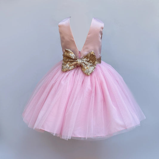 Alina soft pink and sequin tutu dress