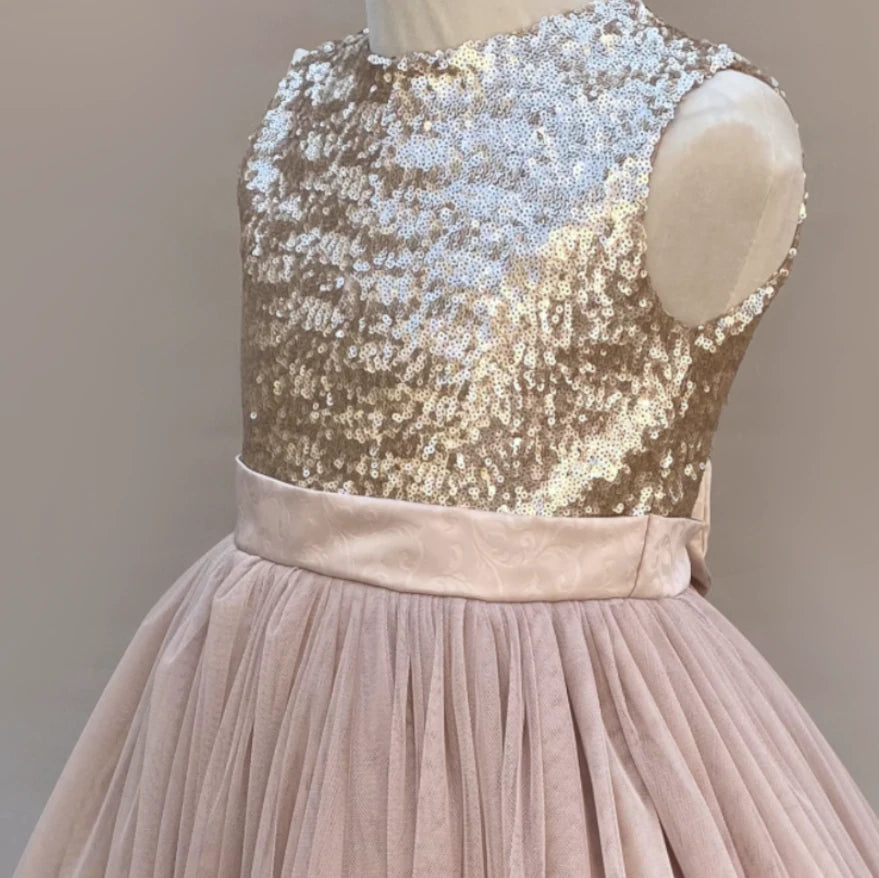 Colette special occasion sequin dress